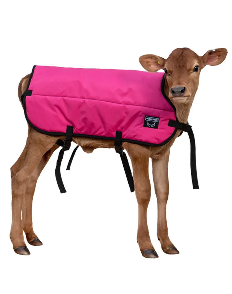 Calf Blanket - Calf Jacket