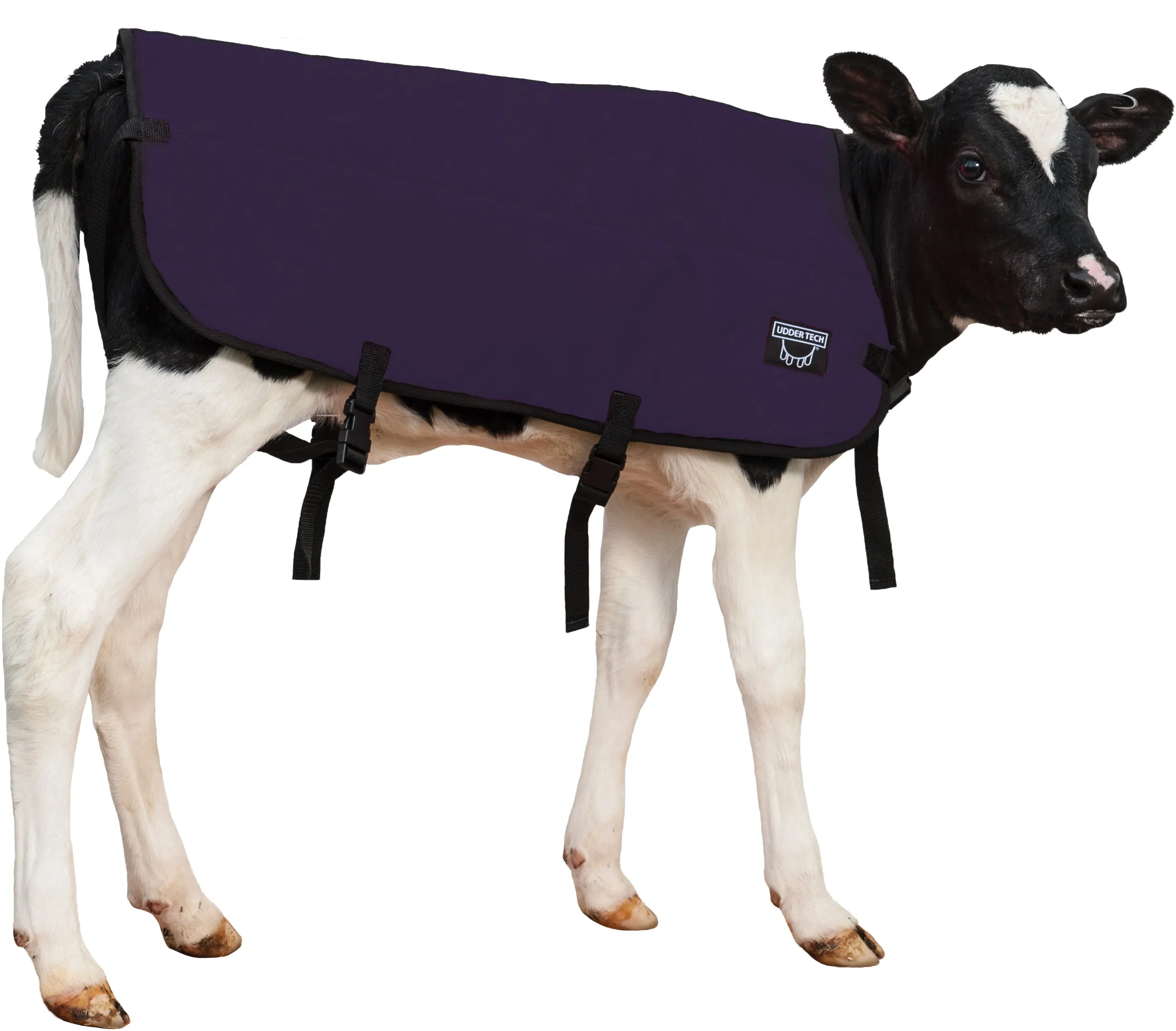 Calf Blanket - Calf Jacket