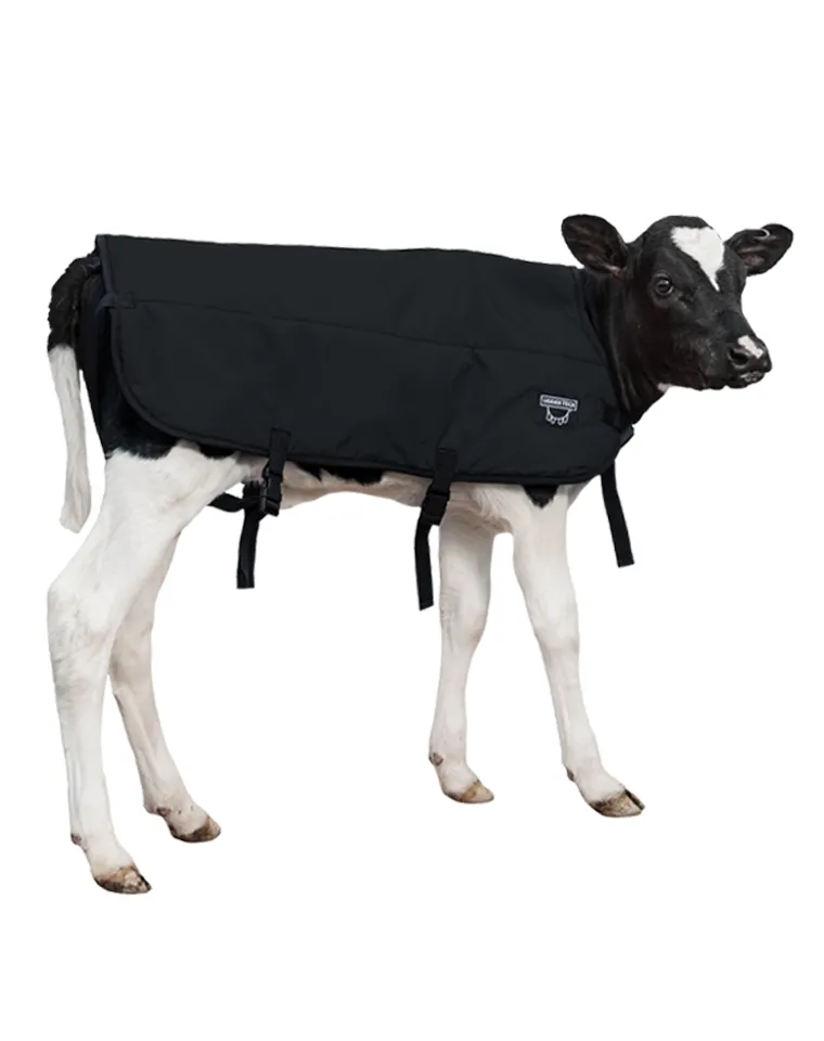 Calf Blanket - Calf Jacket