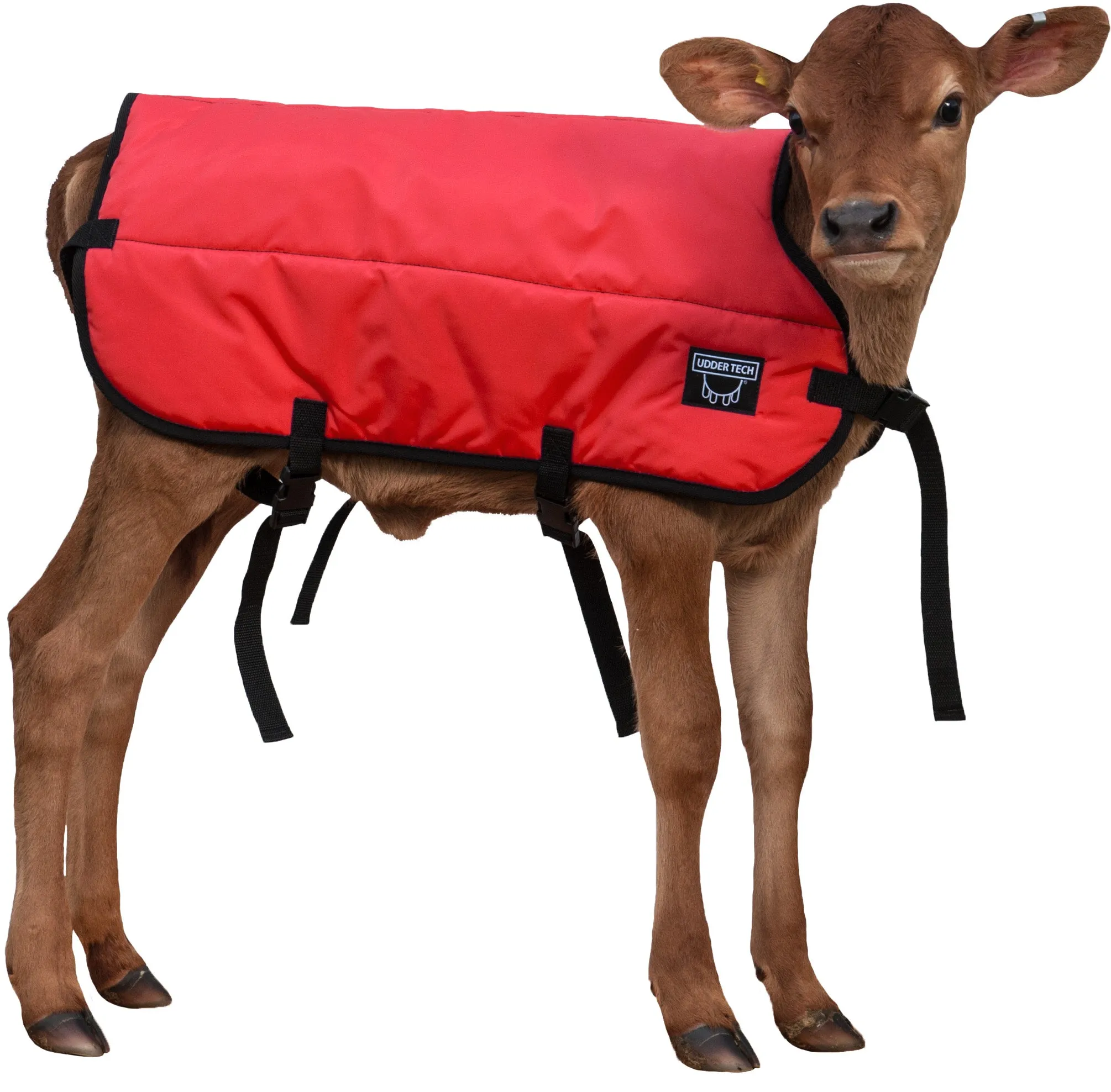 Calf Blanket - Calf Jacket