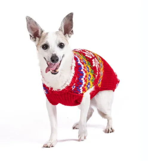 Jolly Red Dog Sweater