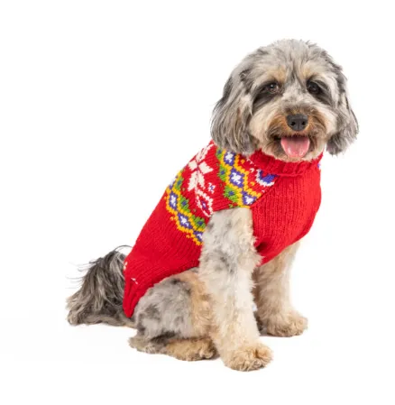 Jolly Red Dog Sweater