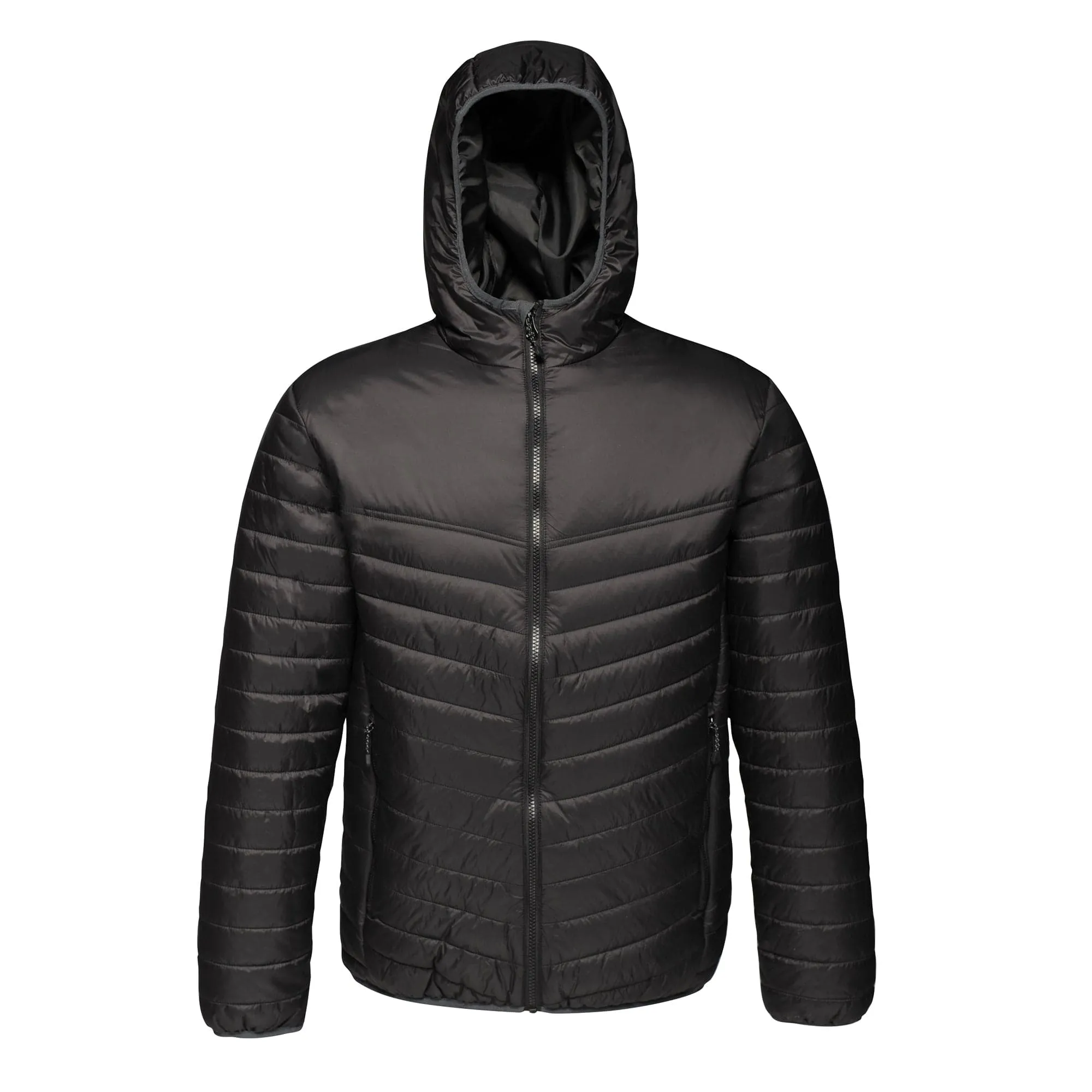 Regatta TRA420 Arcadia II Warmloft Down-Touch Jacket