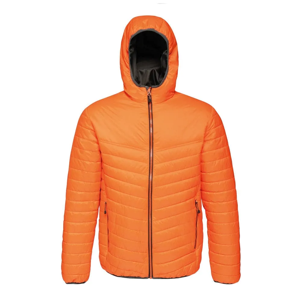 Regatta TRA420 Arcadia II Warmloft Down-Touch Jacket